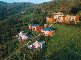 Village Homestay Experience